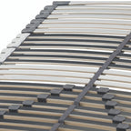 Luxupur® OrthoBase Classic